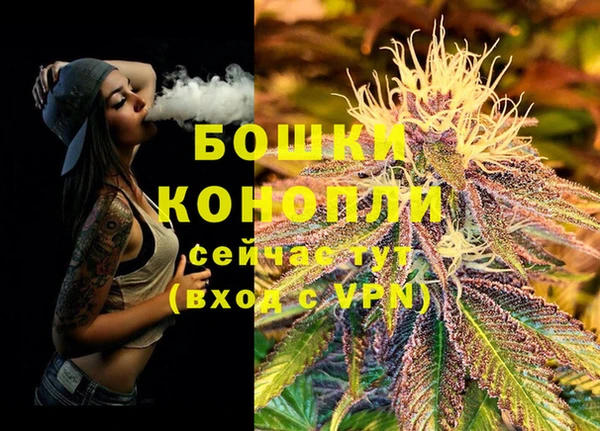 спиды Мегион