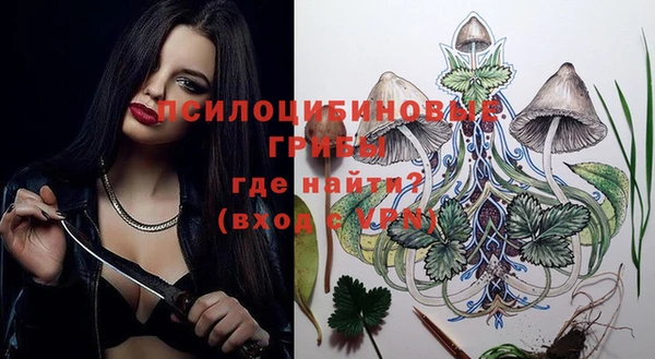 спиды Мегион