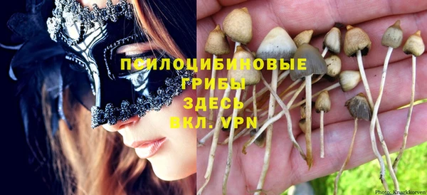 гашик Медвежьегорск