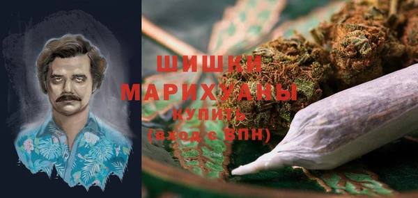 спиды Мегион