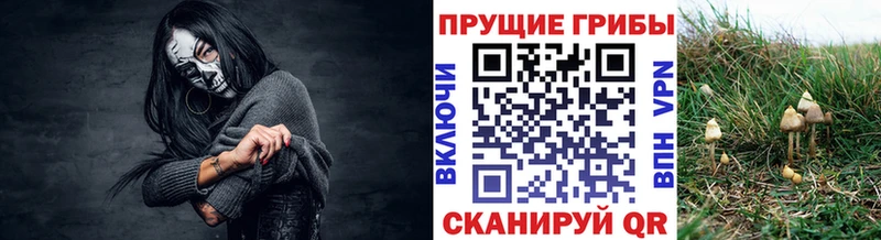 Галлюциногенные грибы GOLDEN TEACHER  Купить  Карабаш 
